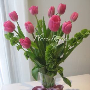 Tulipanes fiusha