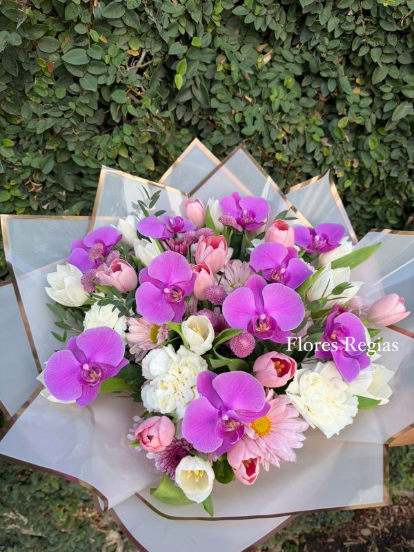 Bouquet de 20 tulipanes y Orquideas