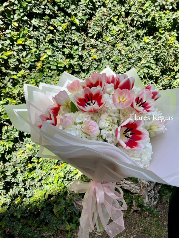 Bouquet ded Hortensia y 20 tulipanes